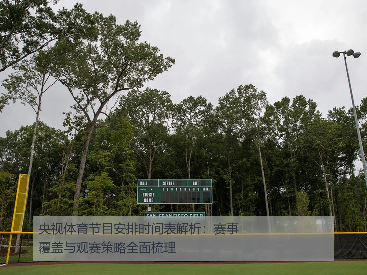 央视体育节目安排时间表解析：赛事覆盖与观赛策略全面梳理