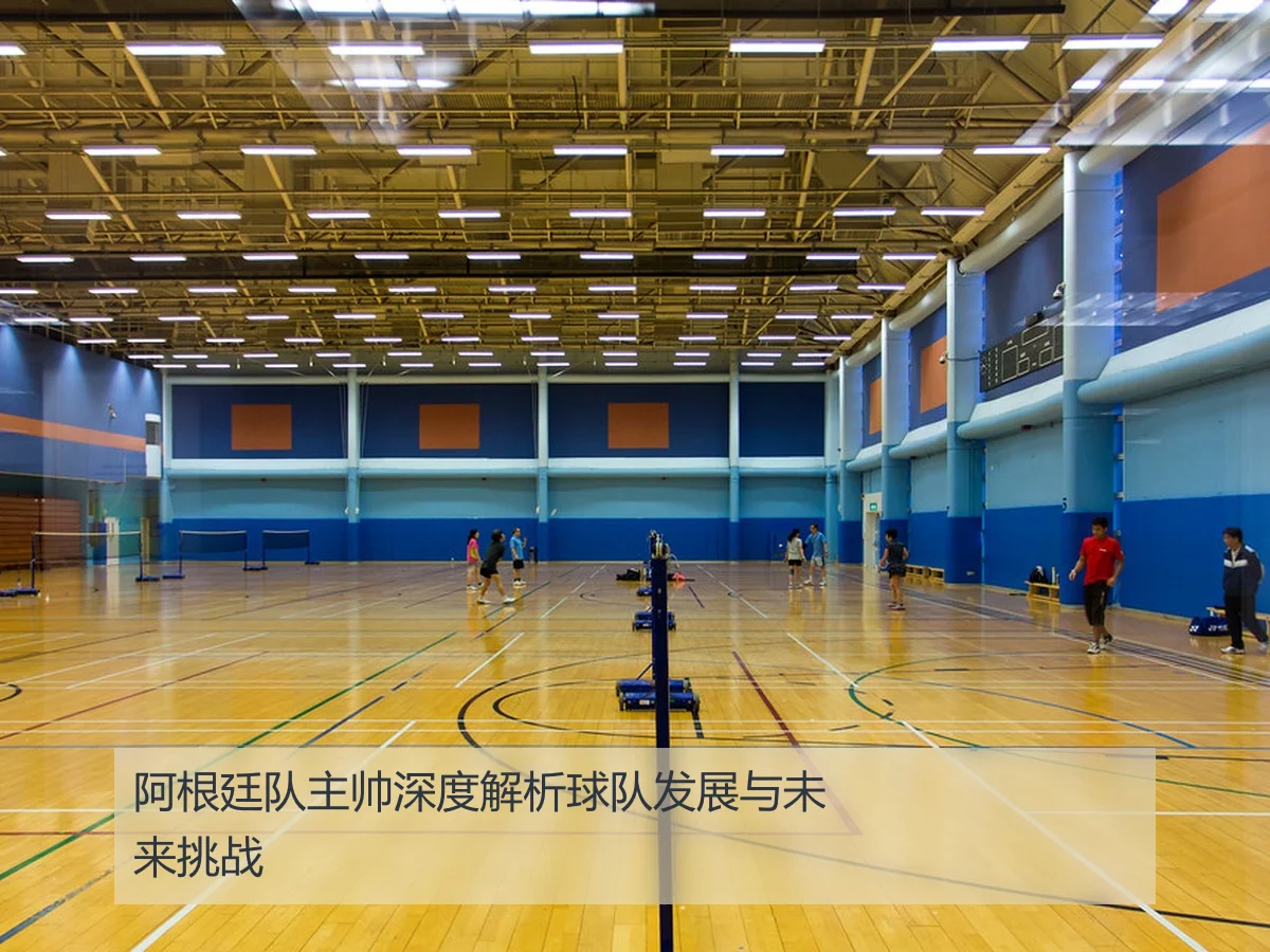 阿根廷队主帅深度解析球队发展与未来挑战